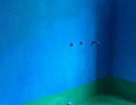 曹妃甸卫生间测漏水多少钱